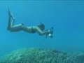 Hanauma Bay Freediving
