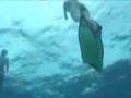 Hanauma Bay Freediving