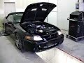 600 HP Ford Cobra Lightspeed Innovations Dyno