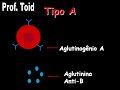 Biologia: Polialelismo - Sistema ABO Parte 02