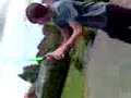 matrix star wars