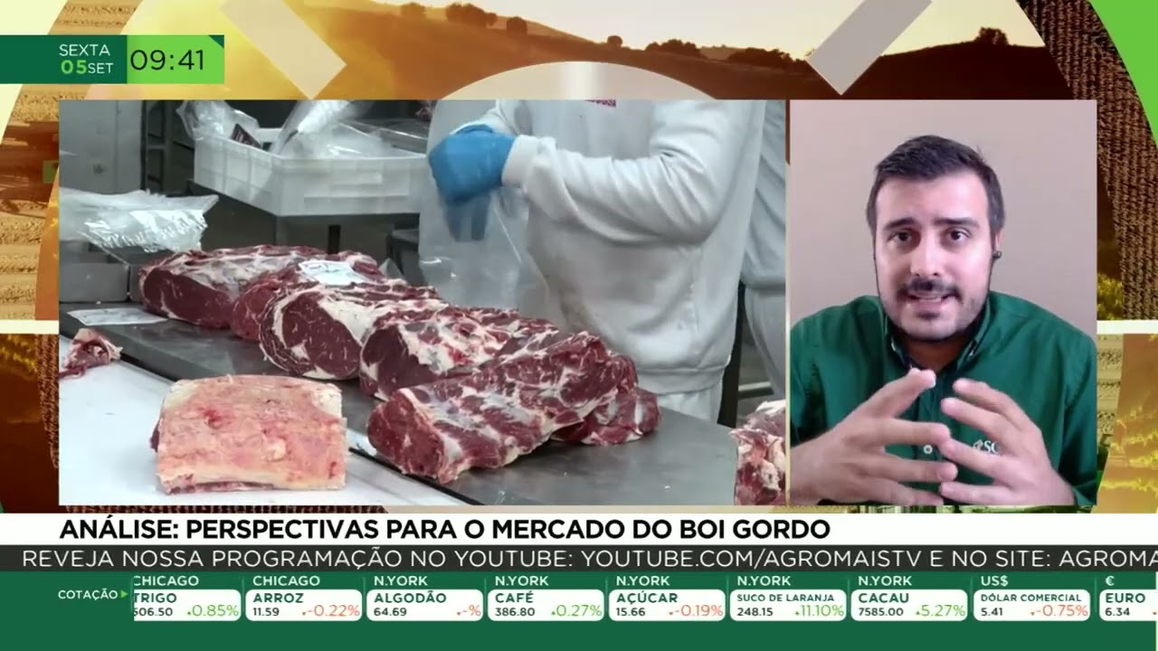Análise: Perspectivas para o mercado do boi gordo
