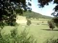 Petit Train de L'Ouche 26 3211