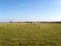 View from White Horse Hill, Uffington