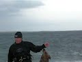 bye-bye-phils-kite.html