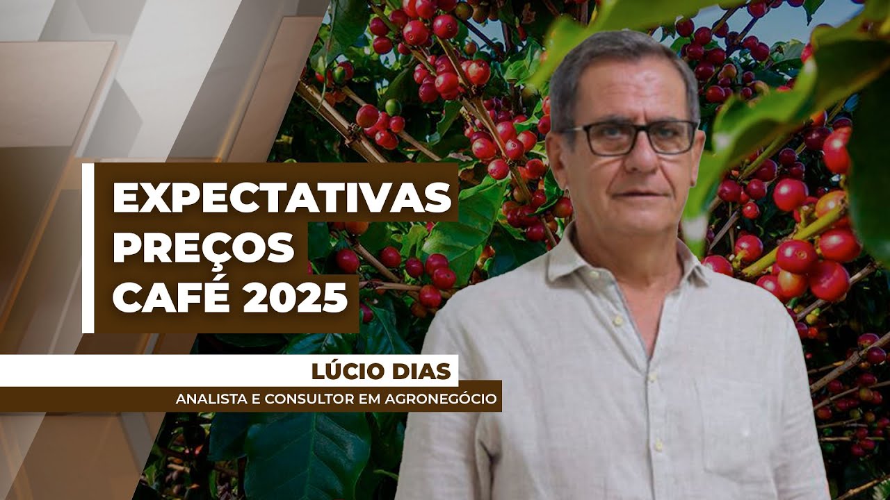 Mercado do café deve apresentar déficit de oferta nos primeiros meses de 2025
