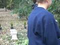 videos de Cemetary Part 4