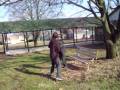videos de ZWF 1-1
