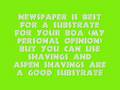 Boa Constrictor Information......