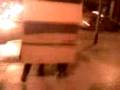 videos de caja con patas 2