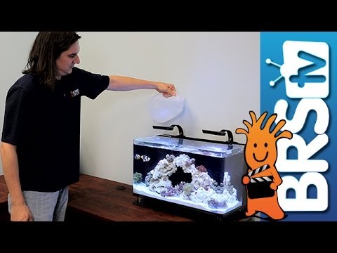 how to dissolve x gal