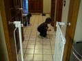 videos de Leyna heads to work