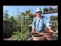 Tips voor de tuin: deel 9b - Kruiden