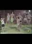 Big Brother Brasil 7 - Galera Animada - BBB7