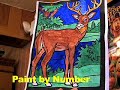 Treettops-The Amazing Race Part II