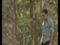 limão com mel se garante até na criação de seus clipes