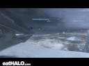Hornet Dogfight