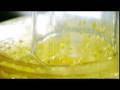 Gordon Ramsay - Homemade Mayonnaise