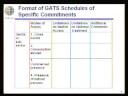 The General Rules of the GATS