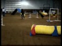 Headwaters Canine Trainers Compete