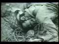 WW2 Battle of Leyte Gulf - sushi