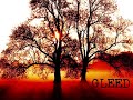 Gleed - Phylisophical Logic (INSTRUMENTAL)