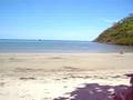 Cape Tribulation Australia