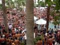 videos de Stackman @ REHAB POOL PARTY
