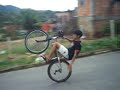 ?��? & ???�a? Treino