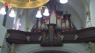 Adventní varhanní koncert