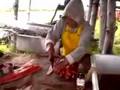 Subsistence Fishery, Kuskokwim River
