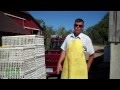 Bakers Green Acres Butcher Shop