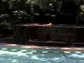 videos de en cuernaahh°°