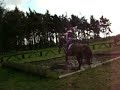 miss sundance crosstraining7