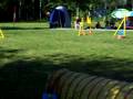 videos de 100 0074