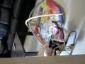DSCN2790