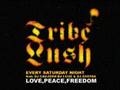 TRIBE LUSH VJ2