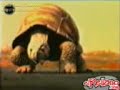 TORTUGA BORRACHA