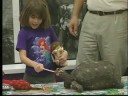 2007 Animal Hall of Fame - Professional