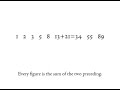 The Fibonacci Series