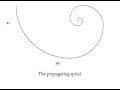 The Fibonacci Series