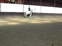 Zargo - Concours Dressage HP - 12.10.08