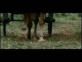videos de Ennustus