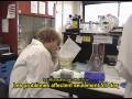 videos de Drôlgue