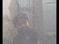 videos de Karrar- aloo machaloo mian