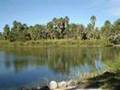 de paseo a San Ignacio y Santa Rosal&iacute;a, B.C.S.