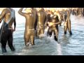 MVI_0484.MOV