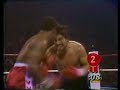 Roberto-duran-enantj'on-davey- moorei.html
