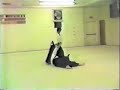 Mitsunari Kanai Shihan Mitsunari Kanai Shihan