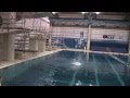 Madison Darland Diving 2008